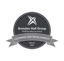 Brandon Hall Best Use of Simulations for Learning